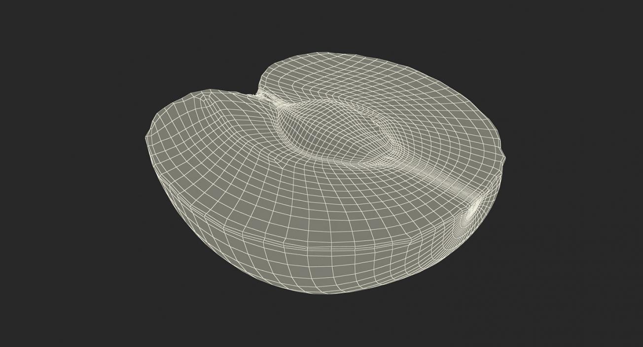 3D Cross Section Fruits Collection 6 model