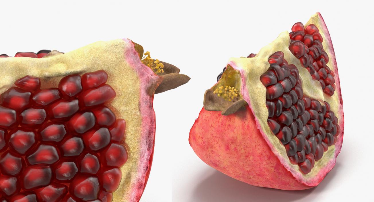 3D Cross Section Fruits Collection 6 model