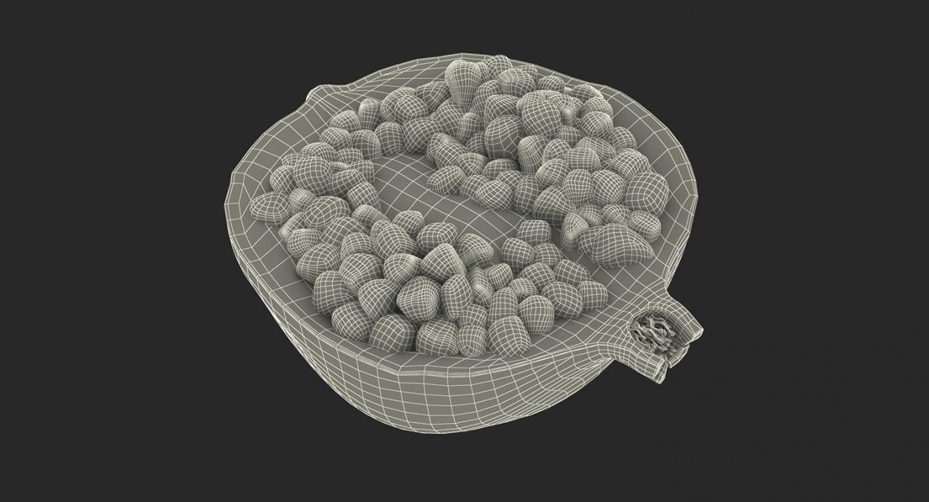 3D Cross Section Fruits Collection 6 model