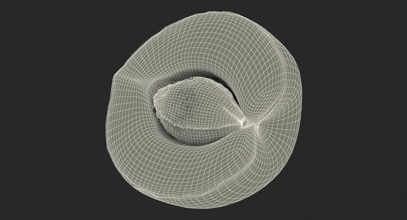 3D Cross Section Fruits Collection 6 model