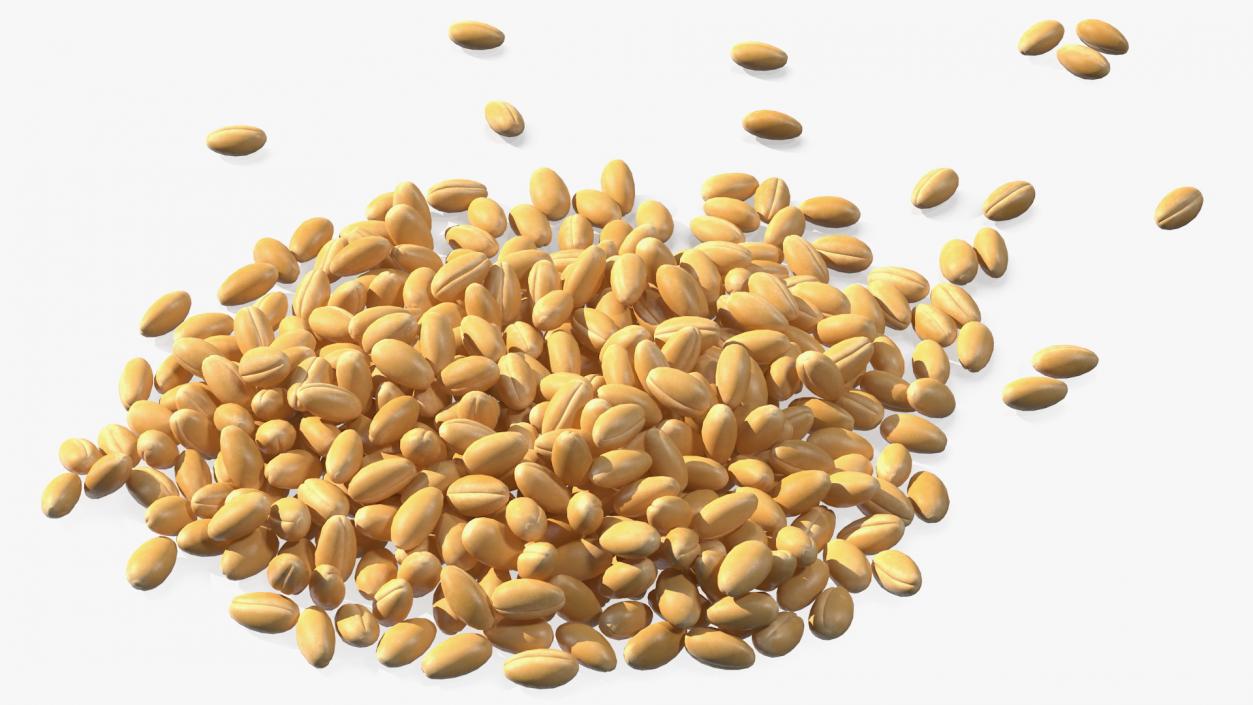 3D Wheat Grain Pile