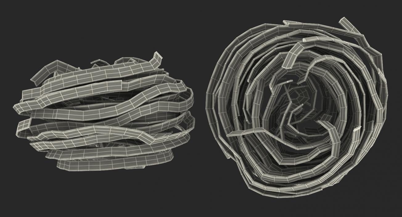 Egg Pasta Nest 3D model