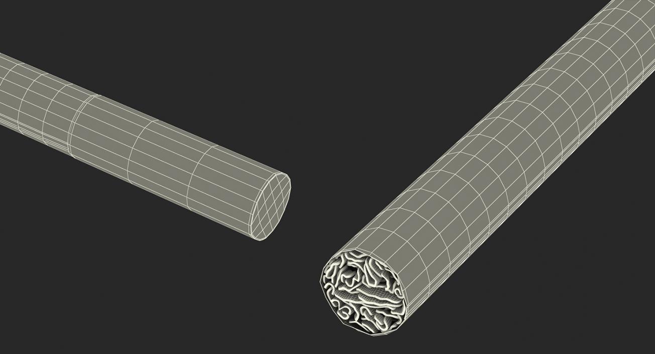 3D Smoking Collection model