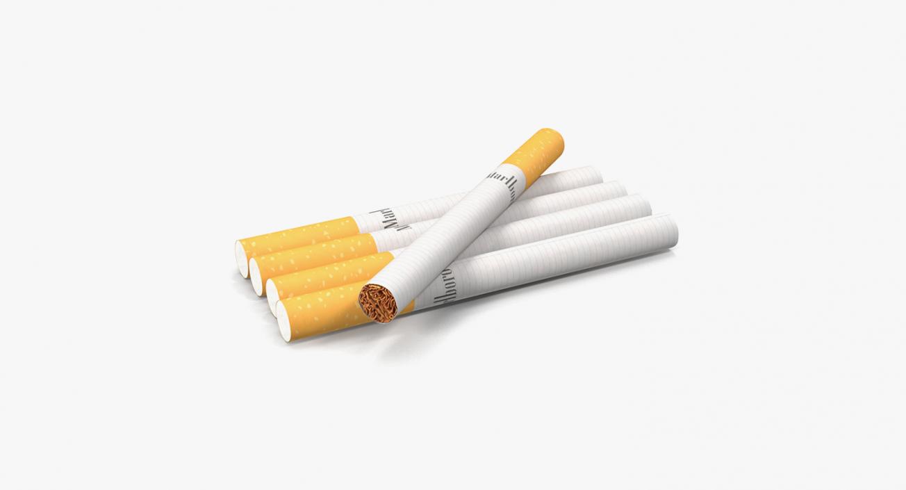 3D Smoking Collection model