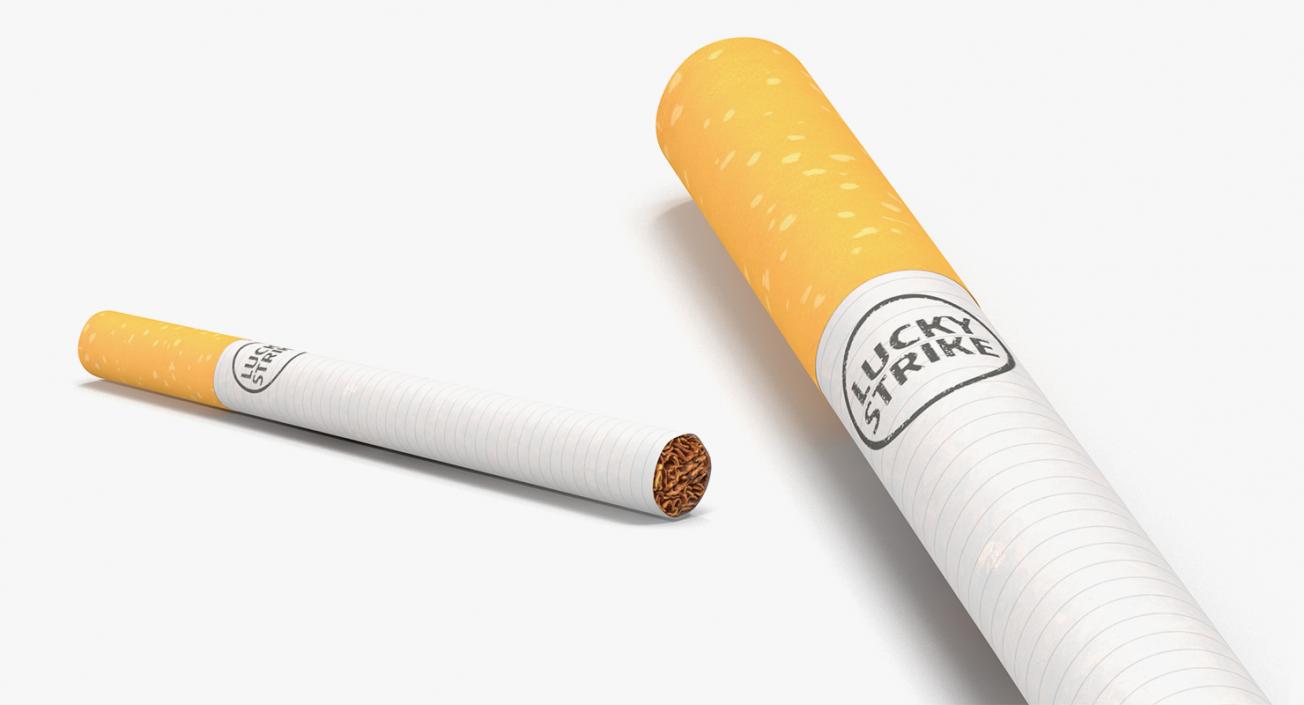 3D Smoking Collection model