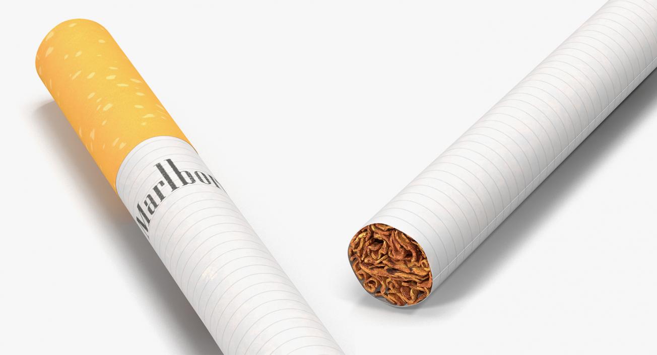 3D Smoking Collection model