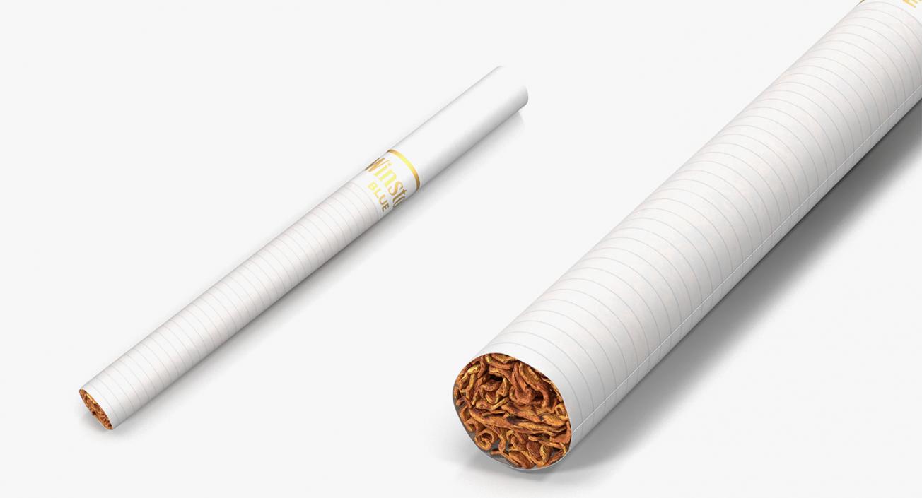 3D Smoking Collection model