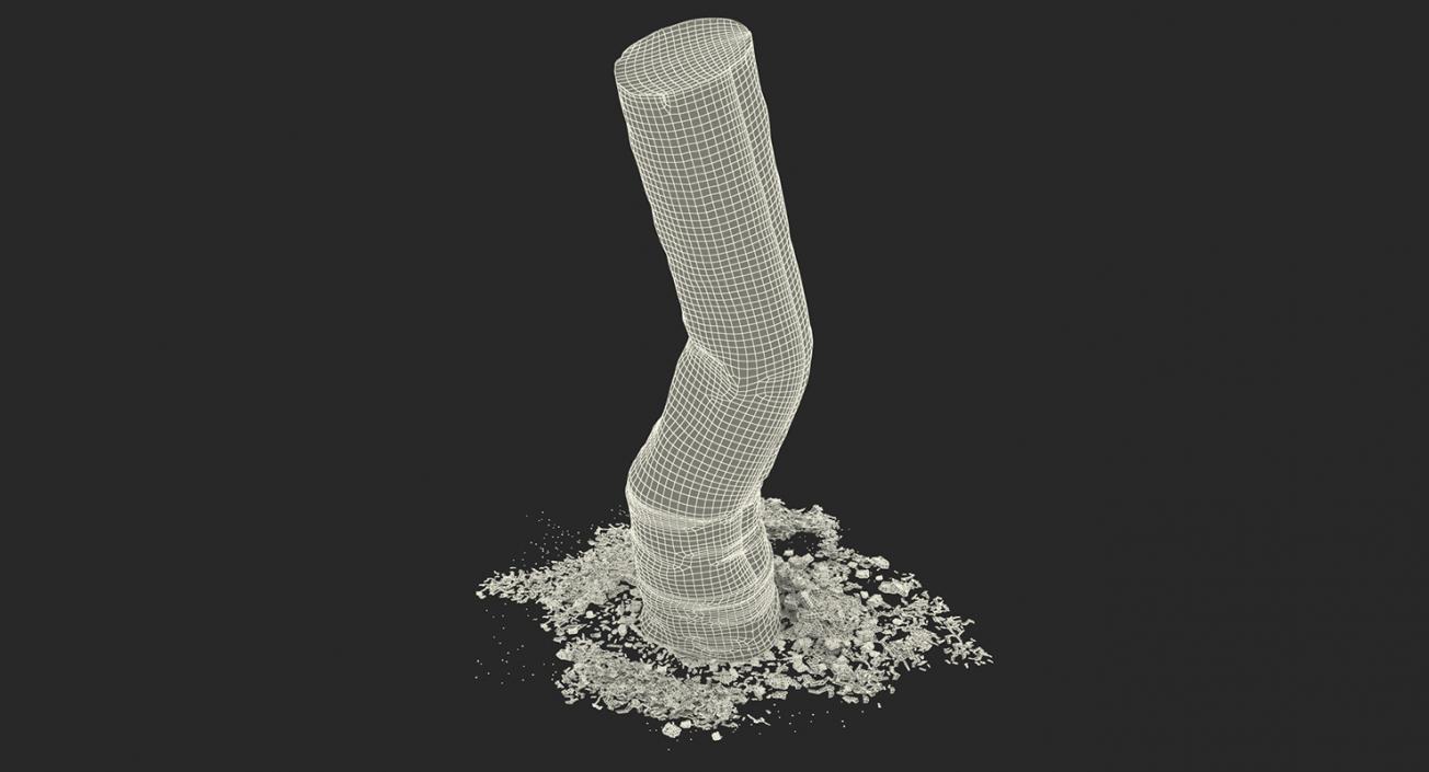 3D Smoking Collection model