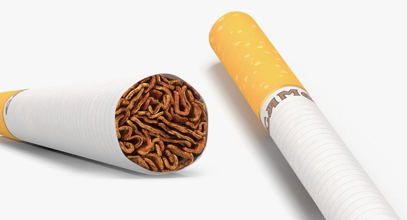 3D Smoking Collection model