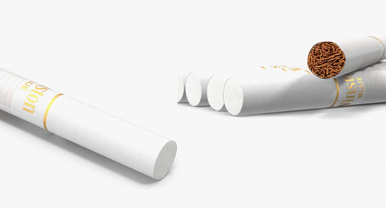 3D Smoking Collection model