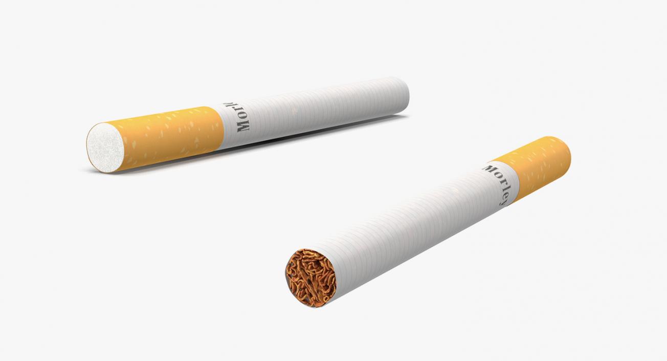 3D Smoking Collection model