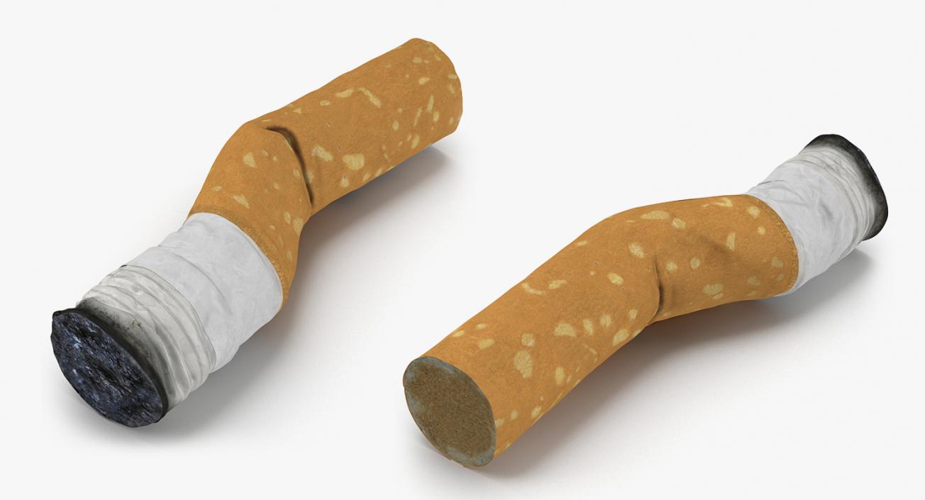 3D Smoking Collection model