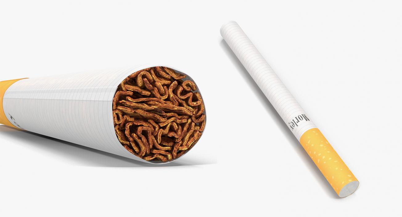 3D Smoking Collection model