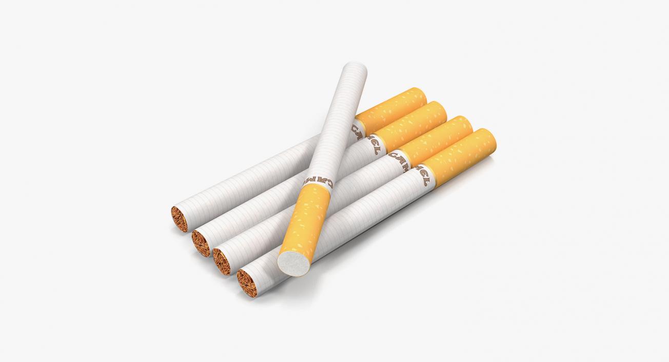 3D Smoking Collection model