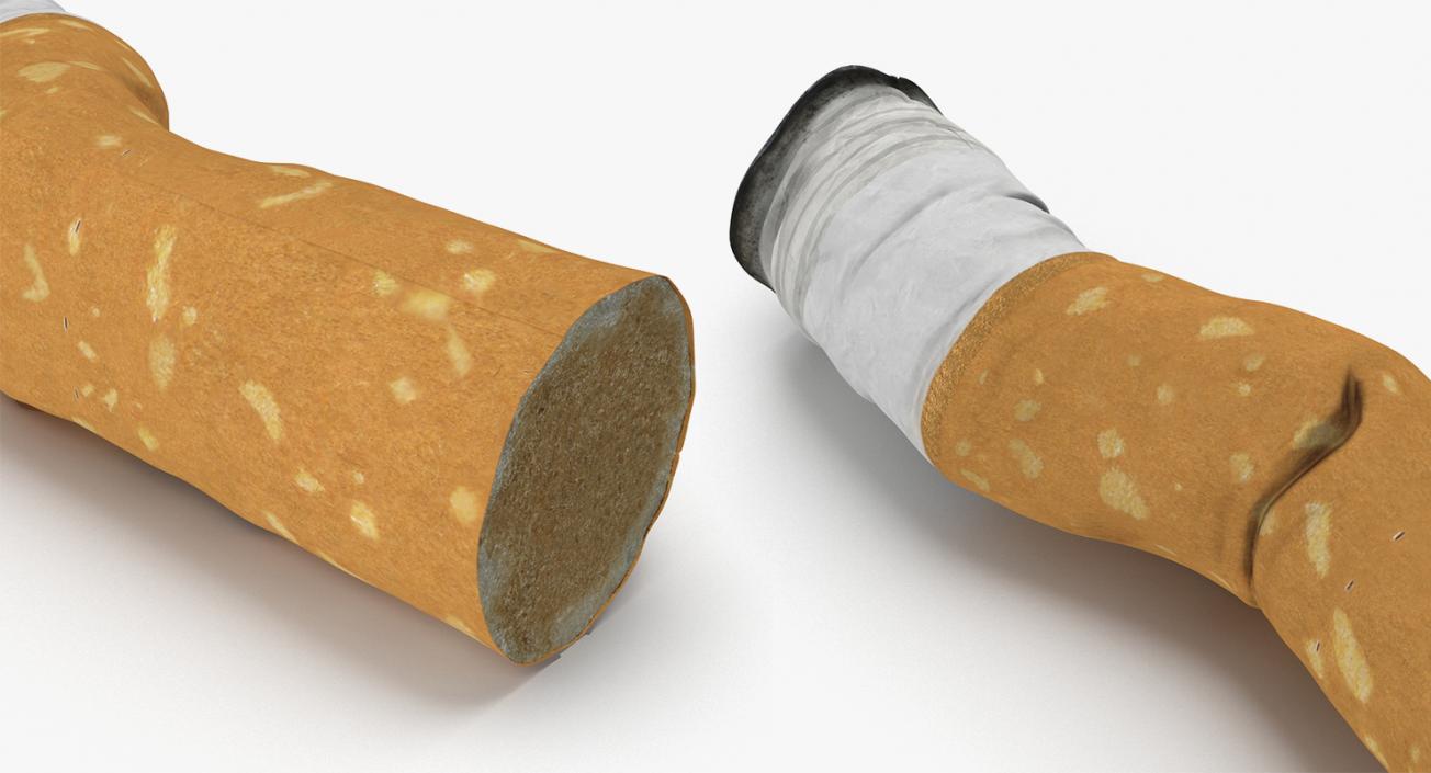 3D Smoking Collection model