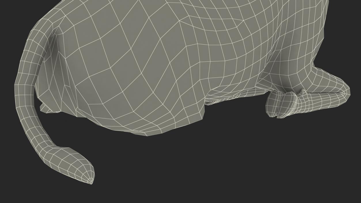 3D Cow Calf in Lying Pose Fur 2 model