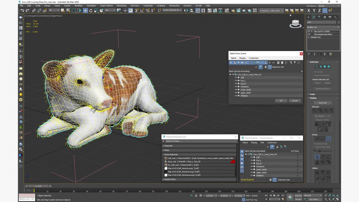 3D Cow Calf in Lying Pose Fur 2 model