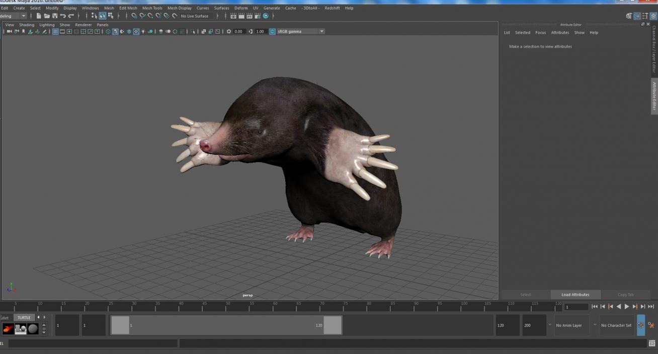 3D Mole Animal 2 model