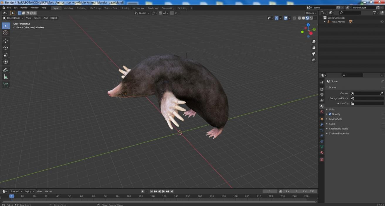 3D Mole Animal 2 model