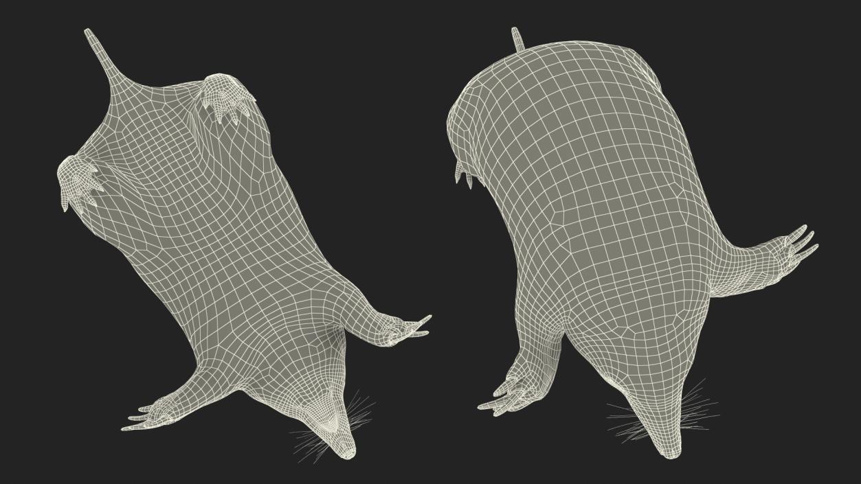 3D Mole Animal 2 model