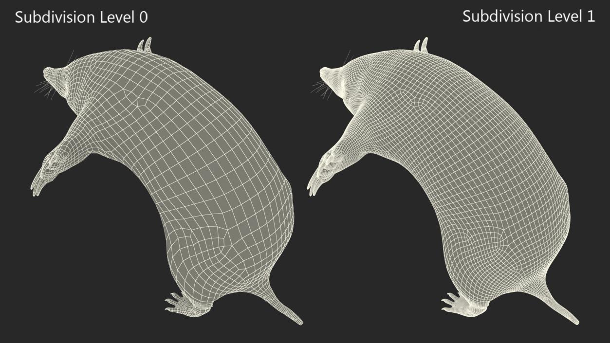 3D Mole Animal 2 model