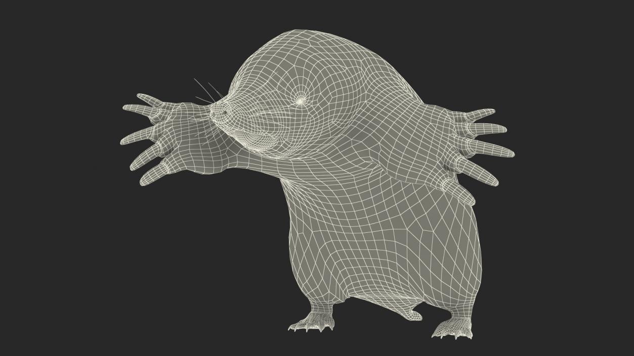 3D Mole Animal 2 model