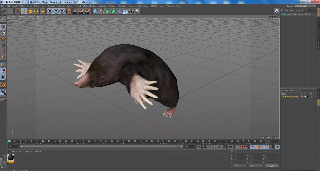 3D Mole Animal 2 model