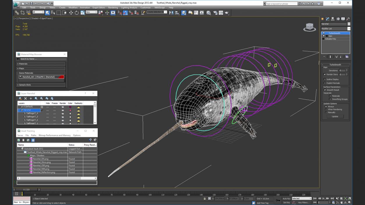 3D Toothed Whale Narwhal Rigged model