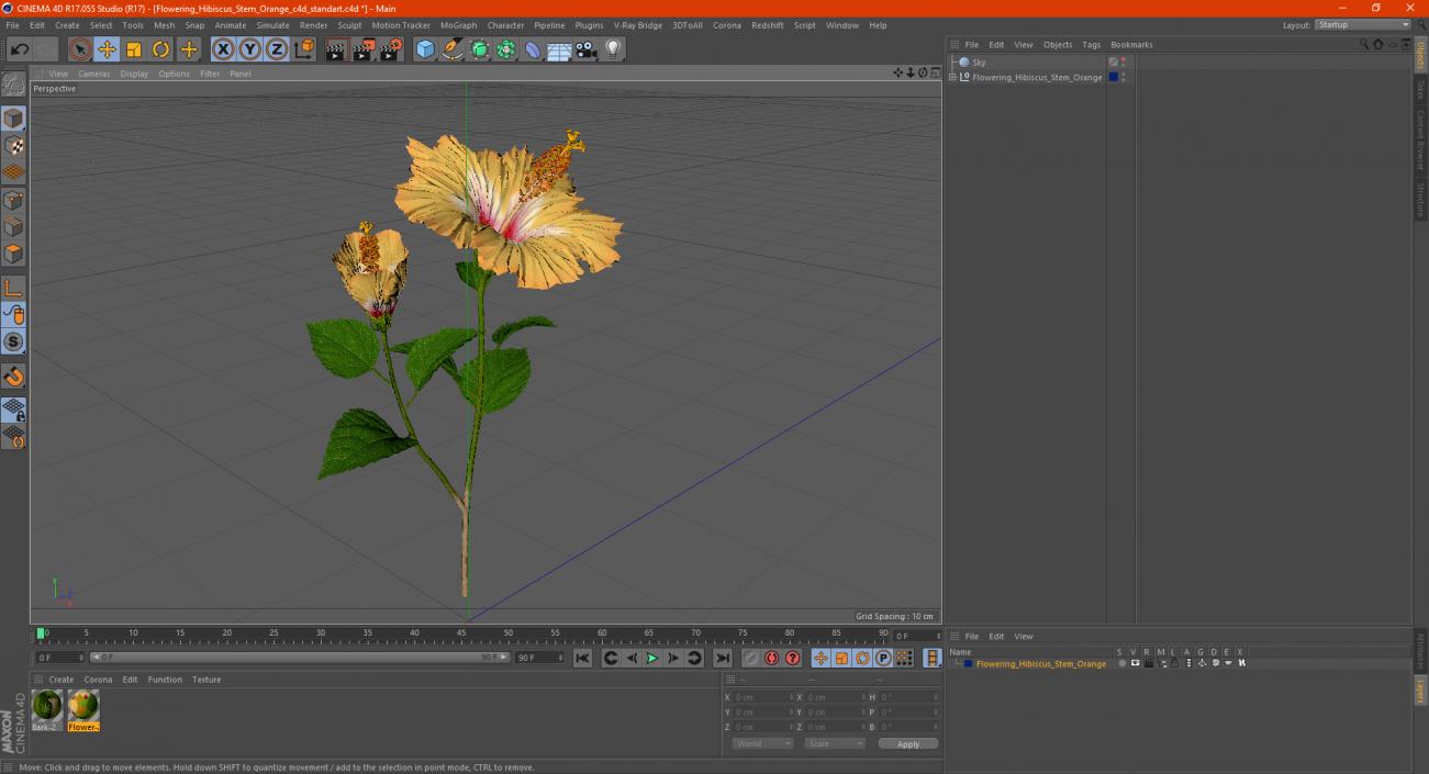 3D model Flowering Hibiscus Stem Orange