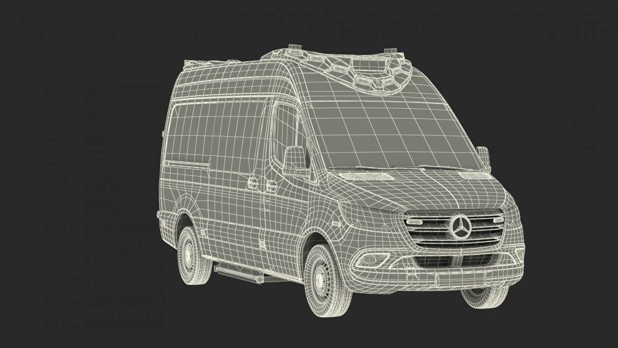 Mercedes Benz Sprinter Paramedic Ambulance Rigged 3D model