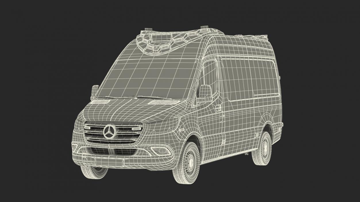 Mercedes Benz Sprinter Paramedic Ambulance Rigged 3D model