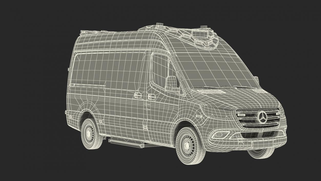 Mercedes Benz Sprinter Paramedic Ambulance Rigged 3D model