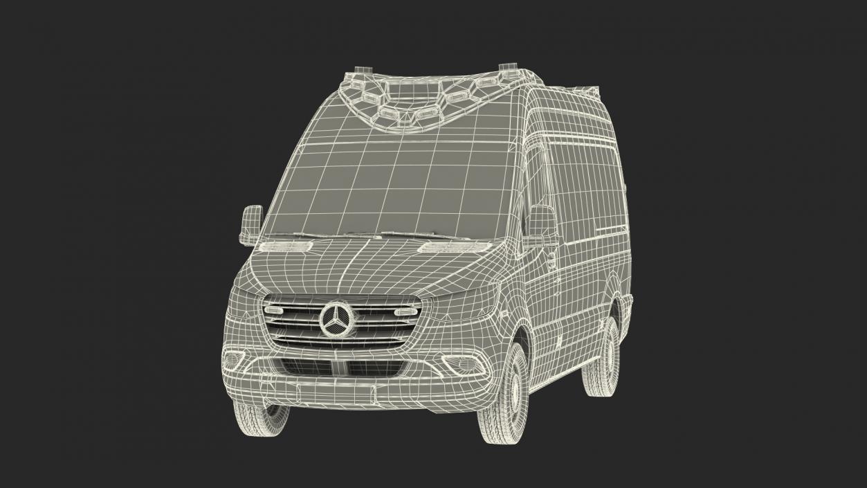 Mercedes Benz Sprinter Paramedic Ambulance Rigged 3D model