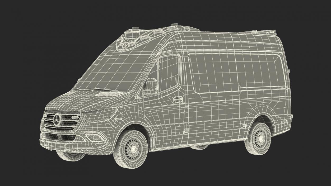 Mercedes Benz Sprinter Paramedic Ambulance Rigged 3D model