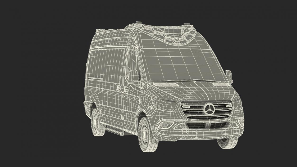 Mercedes Benz Sprinter Paramedic Ambulance Rigged 3D model