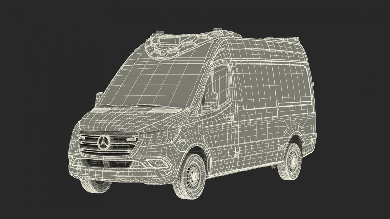 Mercedes Benz Sprinter Paramedic Ambulance Rigged 3D model