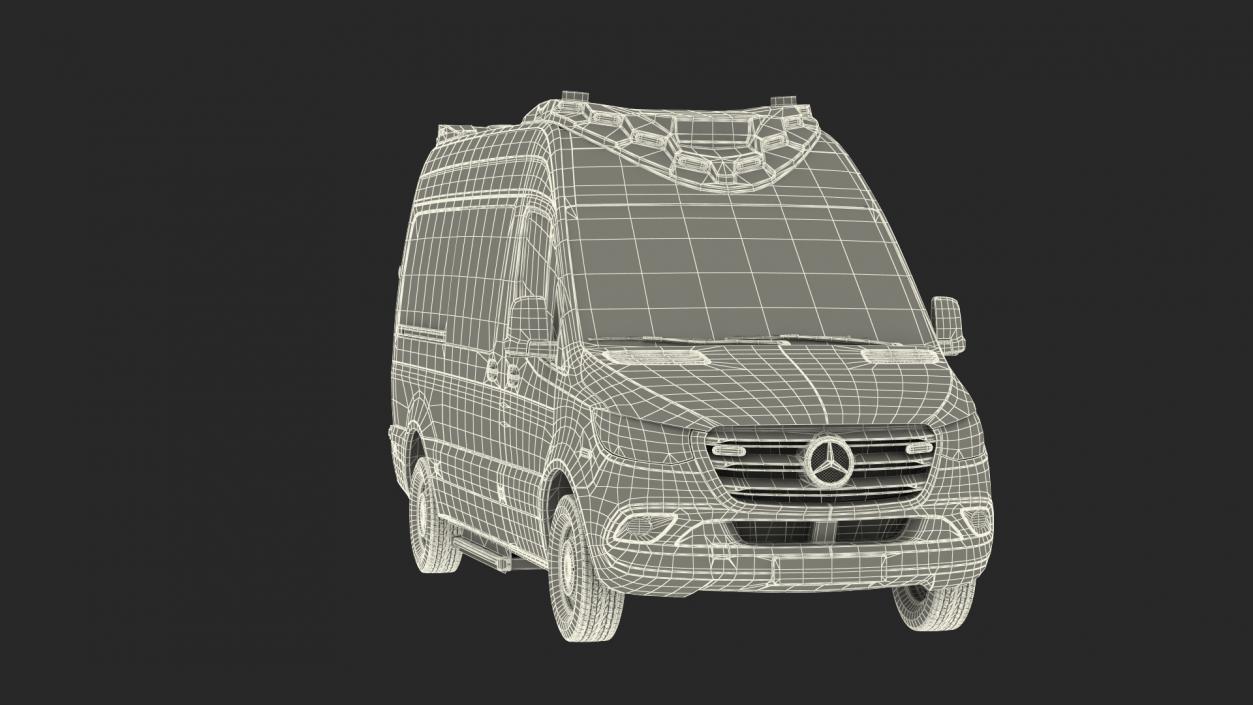 Mercedes Benz Sprinter Paramedic Ambulance Rigged 3D model