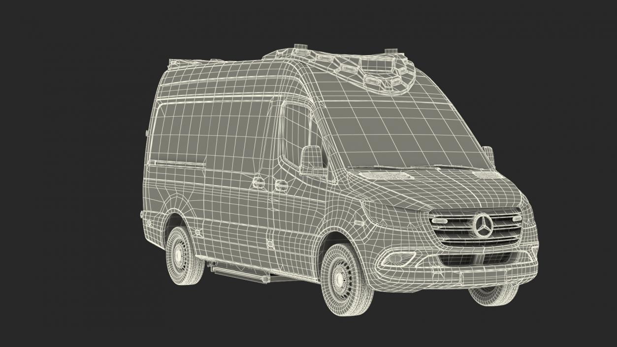 Mercedes Benz Sprinter Paramedic Ambulance Rigged 3D model