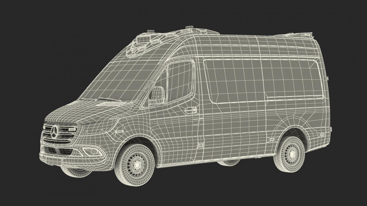 Mercedes Benz Sprinter Paramedic Ambulance Rigged 3D model