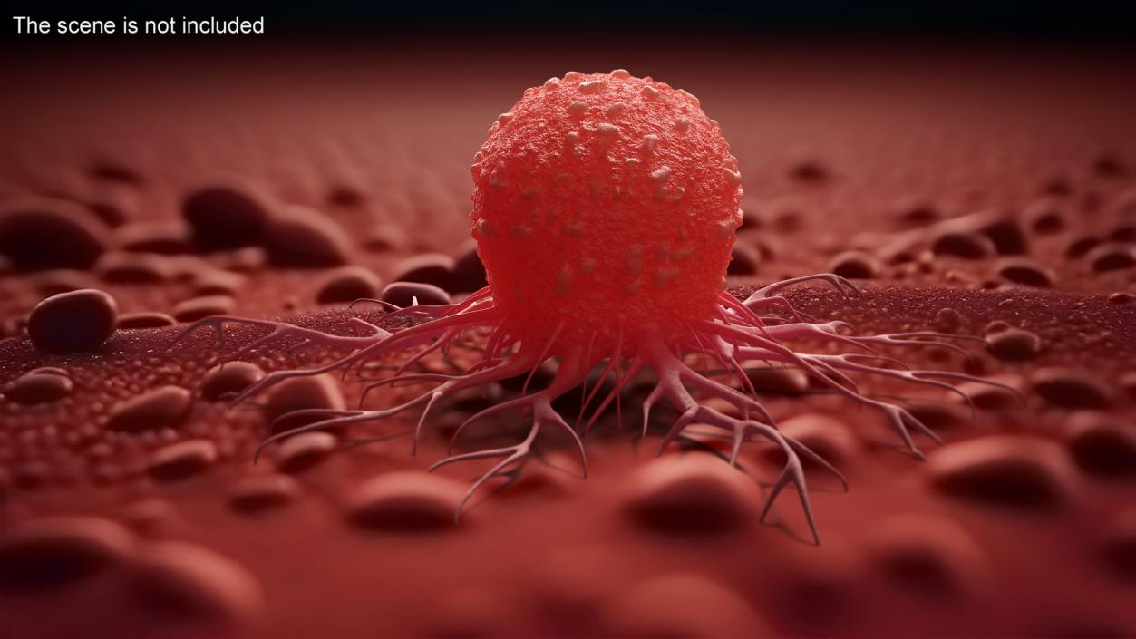 Tumor Cell Red 3D model