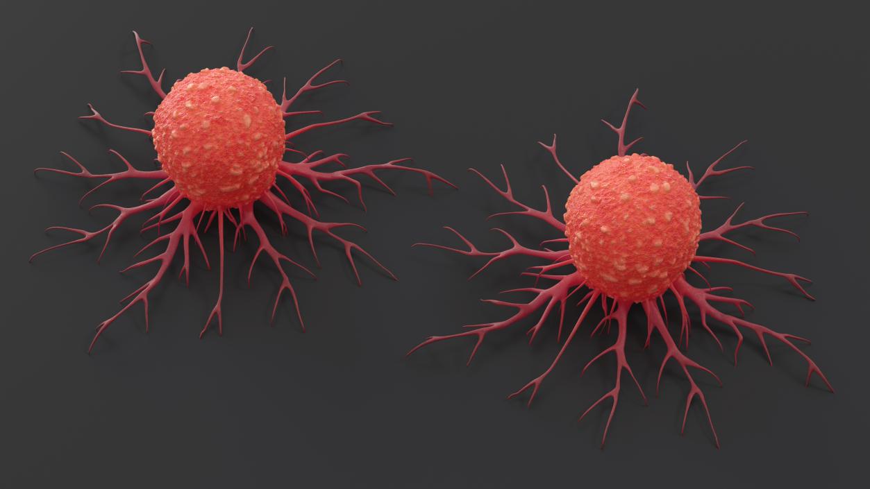 Tumor Cell Red 3D model