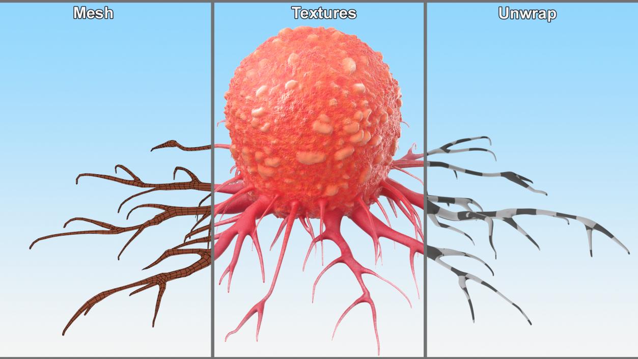 Tumor Cell Red 3D model