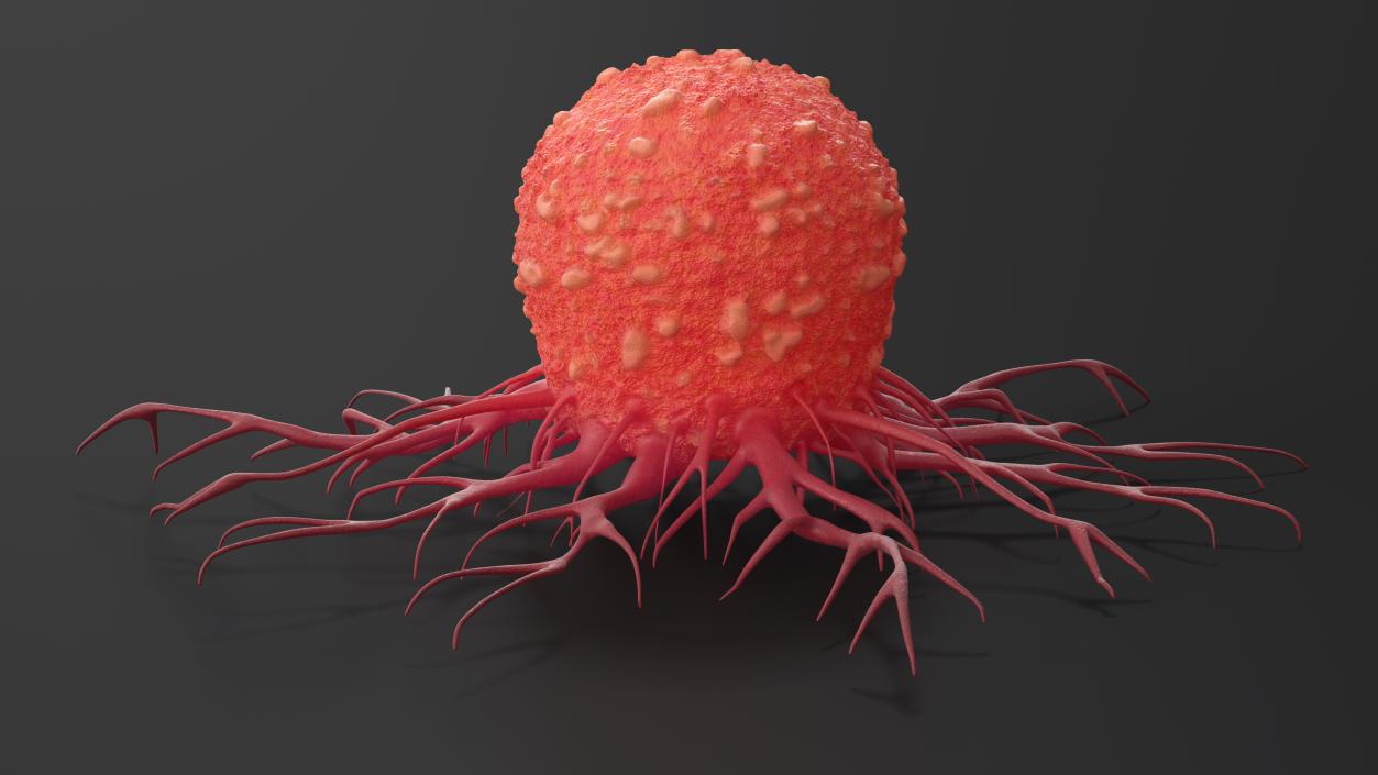 Tumor Cell Red 3D model