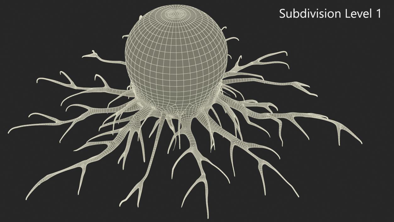 Tumor Cell Red 3D model