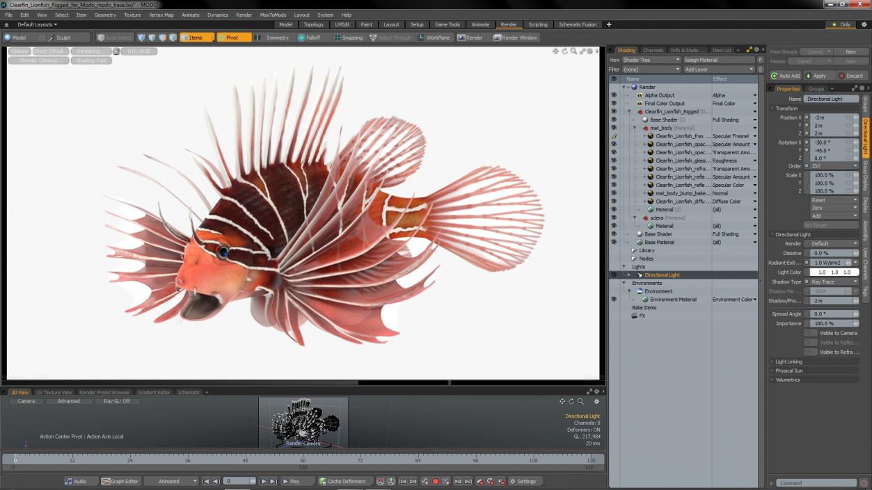 3D Clearfin Lionfish Rigged for Modo model