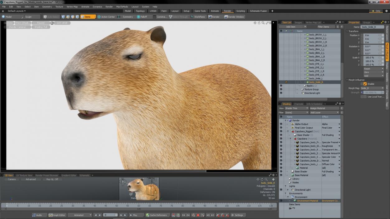 Capybara Rigged for Modo 3D model