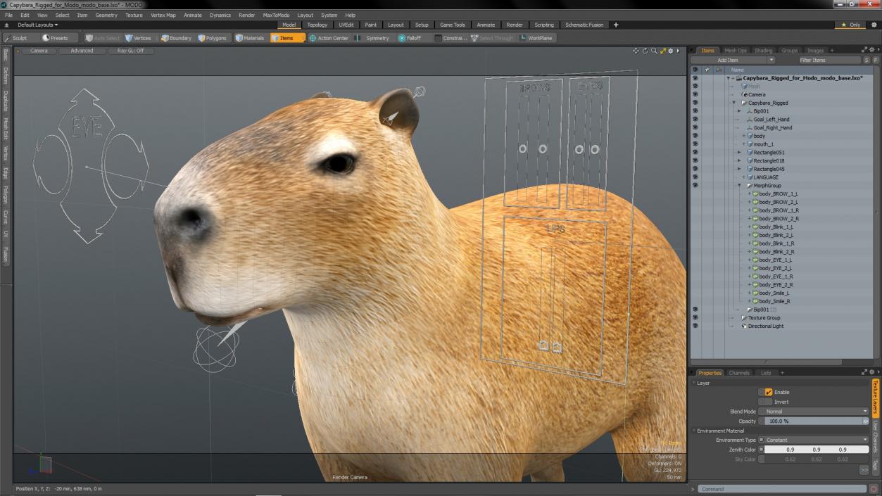 Capybara Rigged for Modo 3D model