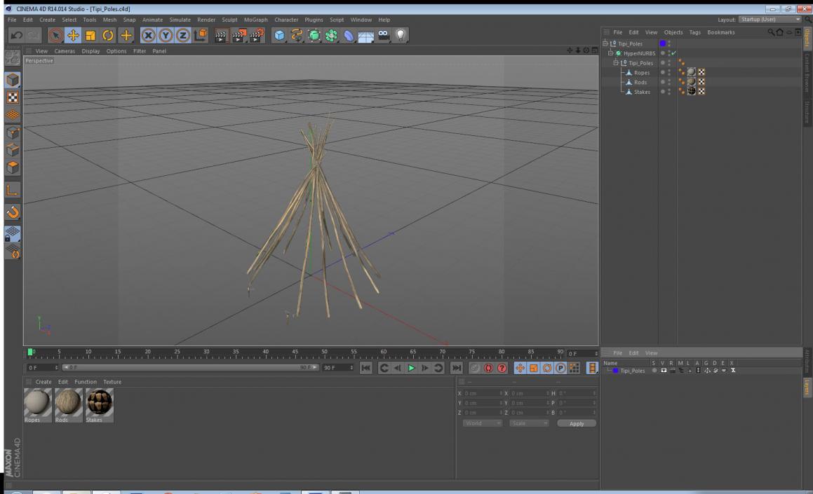 3D model Tipi Poles