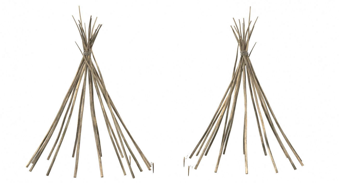 3D model Tipi Poles