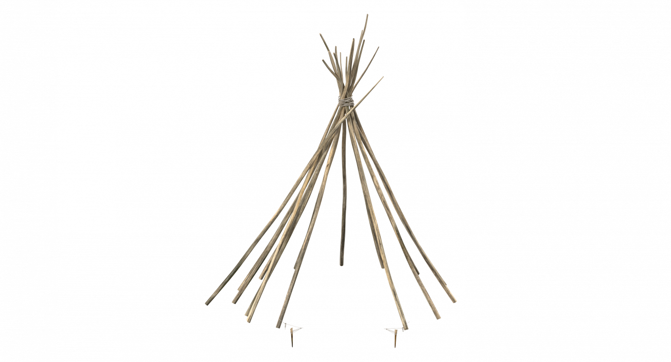 3D model Tipi Poles